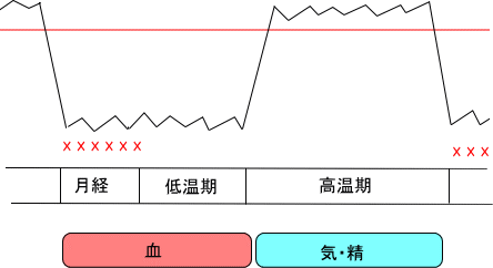 BBT（基礎体温）