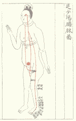 懐胎二ヶ月