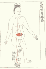 懐胎六ヶ月