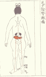 懐胎九ヶ月